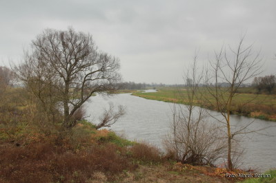 Rzeka Bzura przy DK575 (miejscowość Kamion)