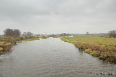 Rzeka Bzura przy DK575 (miejscowość Kamion)