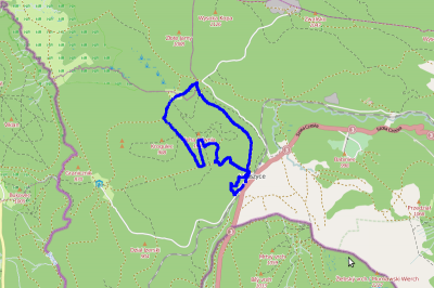 Ścieżka GPS z trasy biegu