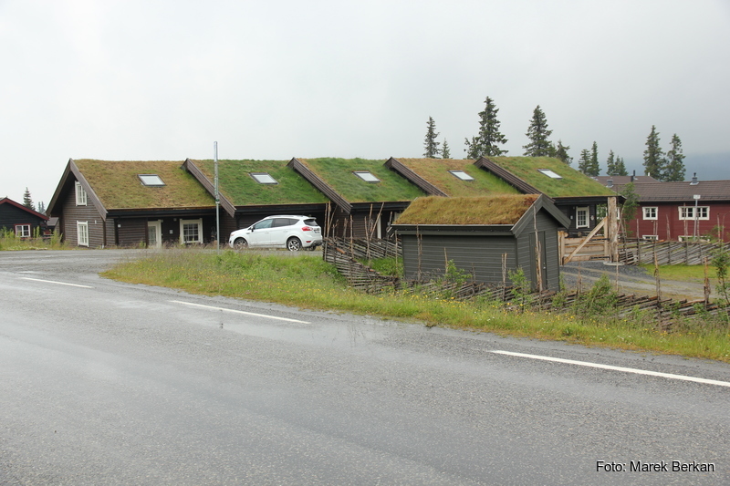 Domy z trawą na dachach
