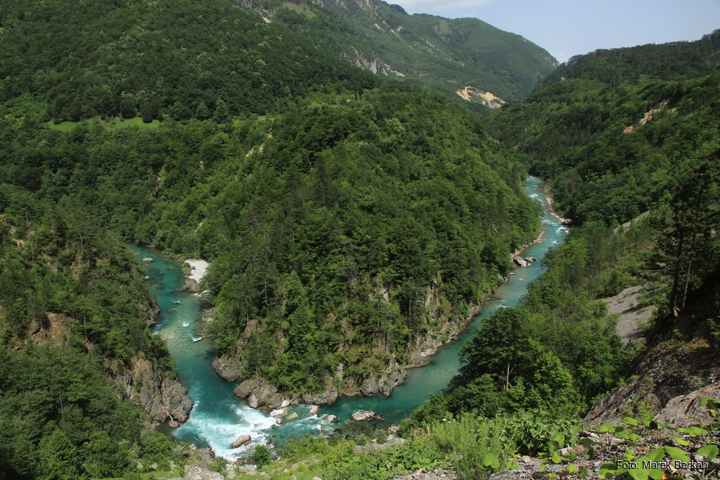 Czarnogóra - rzeka Tara w Parku Narodowym Durmitor