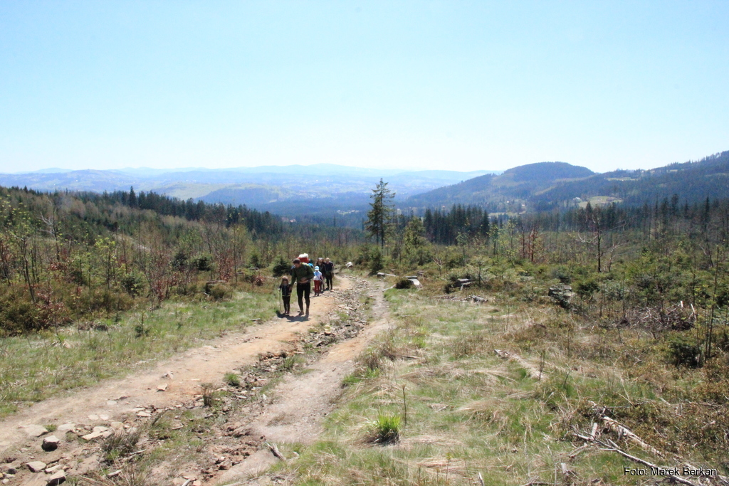Czerwony szlak od schroniska Stożek do przełęczy Kubalonka