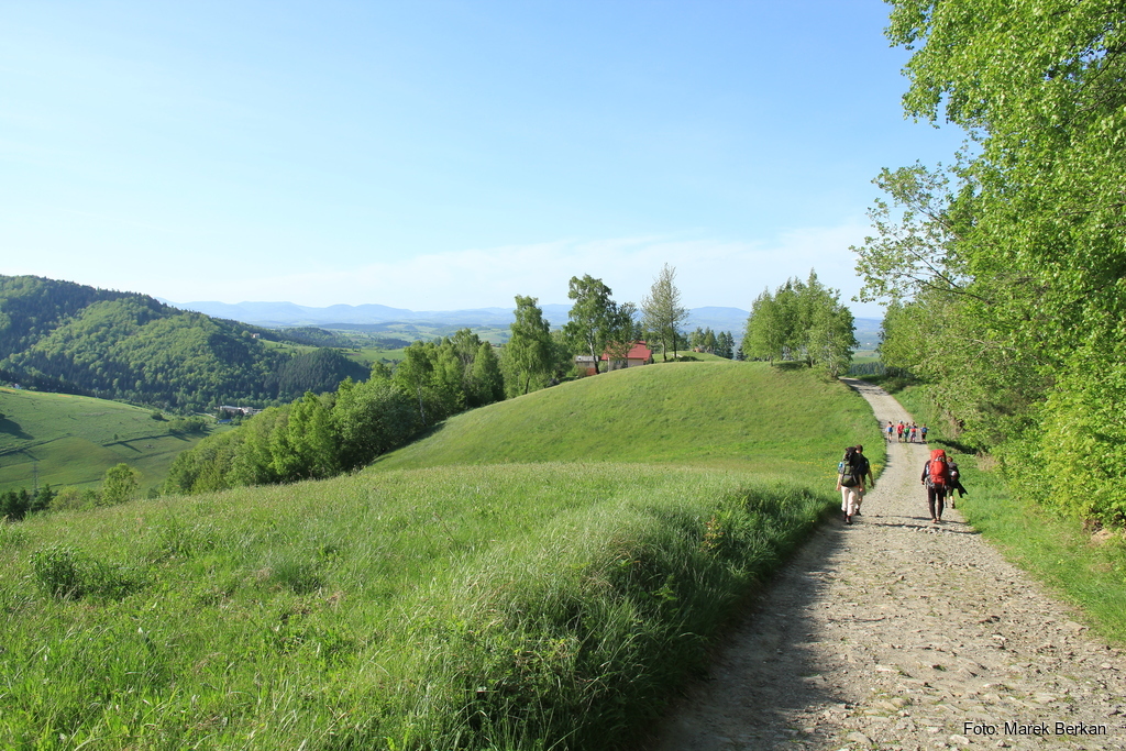 Czerwony szlak przy wsi Podłubek